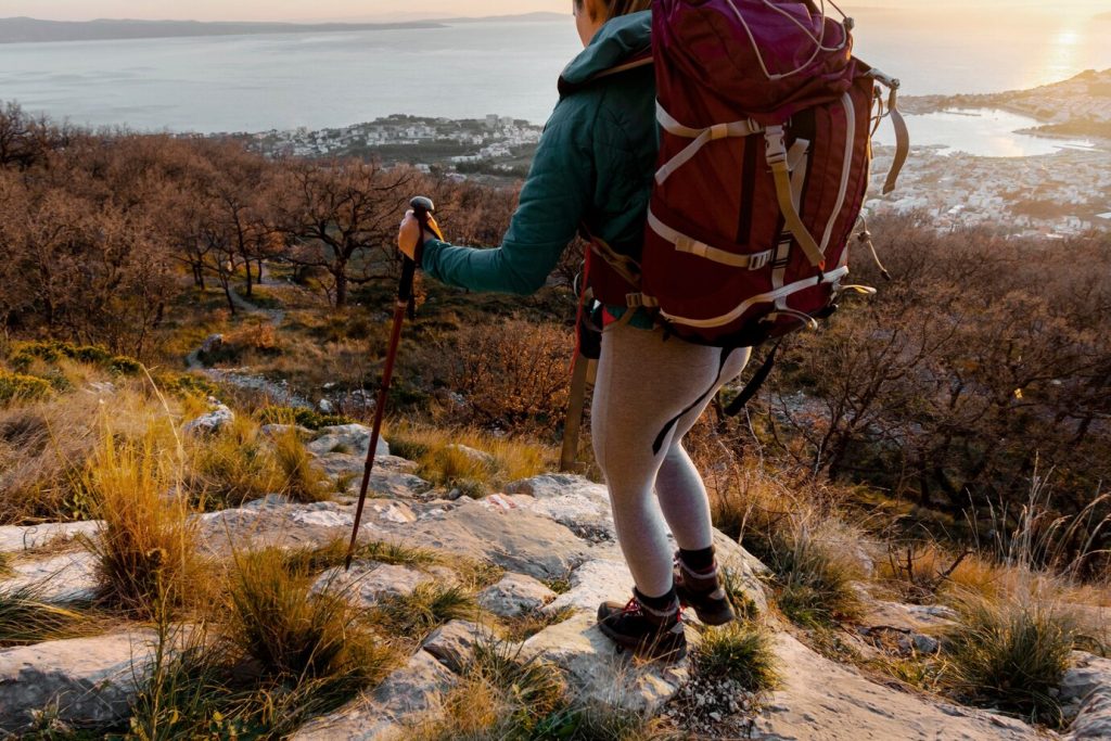 Top 5 Scenic Hiking Trails You Must Experience